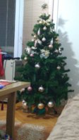 IMG_20201211_170849.jpg