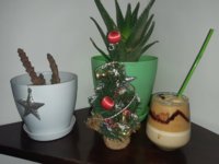 20201213_153510.jpg