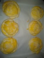 IMG_20201213_130118116.jpg