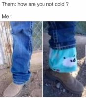 FB_IMG_1607980382376.jpg