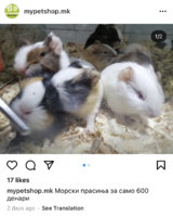 B82C84F2-4326-4B01-AA2D-40F383DB3D14.jpeg