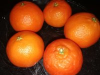 IMG_20201212_150829.jpg