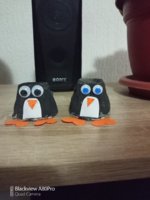 IMG_20201218_170823_9.jpg
