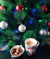 IMG_20201216_114657_714.jpg