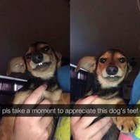 FB_IMG_1607437210432.jpg