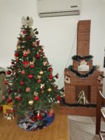 IMG_20201220_145946.jpg