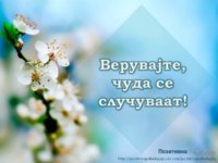 FB_IMG_1606146156440.jpg