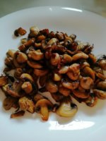 IMG_20201223_134025.jpg