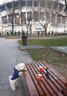 20201223_163730.jpg