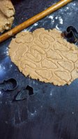 IMG_20201223_202301_compress58.jpg