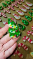 IMG_20201224_183513_compress6.jpg