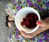 IMG01283-20120619-1256.jpg