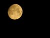DSCN1467.jpg