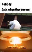 4g09kk.jpg