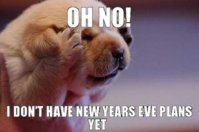 2018-Funny-Meme.jpg