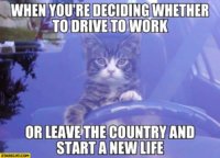 FB_IMG_1609012449898.jpg