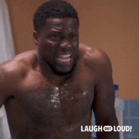 giphy (2).gif