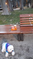 20201230_162218.jpg