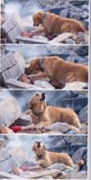 FB_IMG_1609366404158.jpg