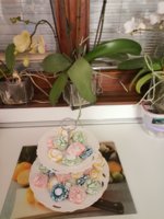 IMG_20210101_013023.jpg