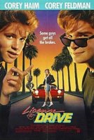 220px-License_to_drive_poster.jpg