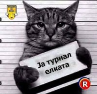 93CCC9A1-F8D2-4918-A5DB-0032ECBCC160.jpeg