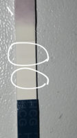 11695CAF-E468-4C31-93FC-FE43EA909064.jpeg