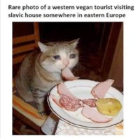 BD8D34BA-B34F-4468-B490-9907C02F7B25.jpeg