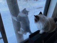 FB_IMG_1610461014055.jpg