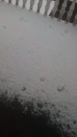 20210114_161258.jpg