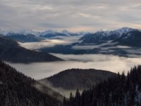 foggy-mountains-yj.jpg