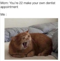 9A0AD879-B813-484C-B74A-1D7BC9C0277D.jpeg