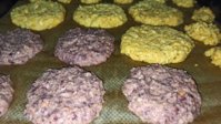 IMG_20210118_173119_compress57.jpg