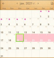 Screenshot_20210119_224256.jpg