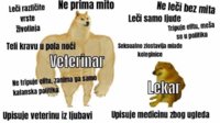 FB_IMG_1611321684570.jpg