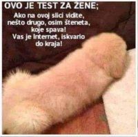 FB_IMG_1611496791526.jpg