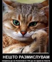 FB_IMG_1611926773633.jpg