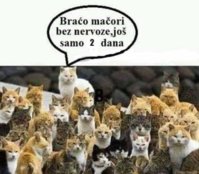 FB_IMG_1612117361277.jpg