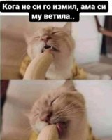 FB_IMG_1612208881038.jpg