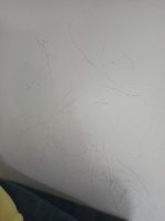 902DEB15-C023-4962-BDDC-4E94C11BAD62.jpeg