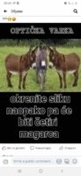 FB_IMG_1612268342381.jpg