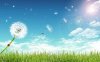 CG_Design_Fly_away_dandelion_under_blue_sky.jpg