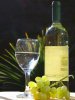 WhiteWine.jpg