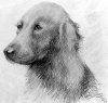 adolf-hitlers-paintings06.jpg
