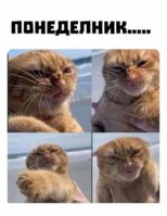 FB_IMG_1612290076964.jpg
