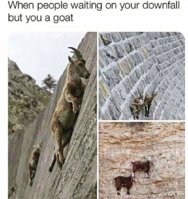 FB_IMG_1612787174577.jpg