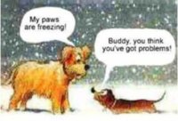 FB_IMG_1612799950707.jpg