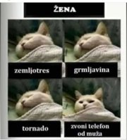 FB_IMG_1612709486851.jpg