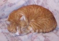 IMG_20210211_201244.jpg