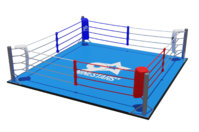 boxing-ring-on-floor.jpg